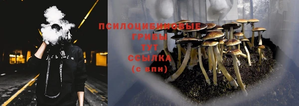 бошки Балахна