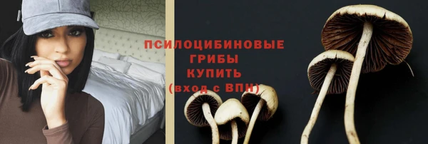 бошки Балахна