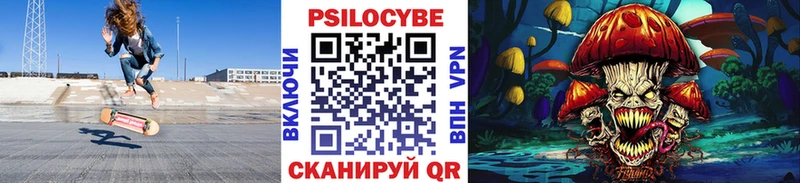 цены наркотик Курганинск Галлюциногенные грибы Cubensis